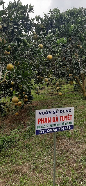 máy làm phân bón hữu cơ