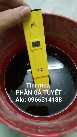 phan-ga-tuyet