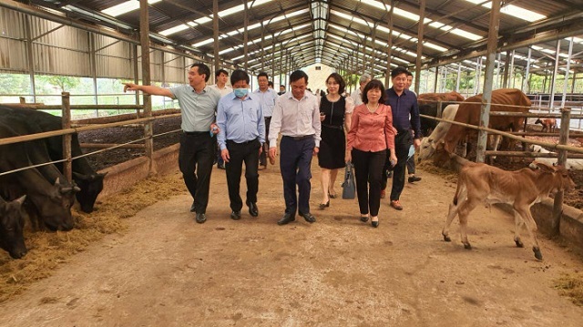 sản xuất phân bón hữu cơ 